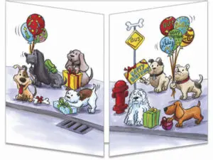 carte postale cache-cache ct264 basset bus fermée