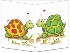 carte postale cache-cache ct266 partage de carapace fermée