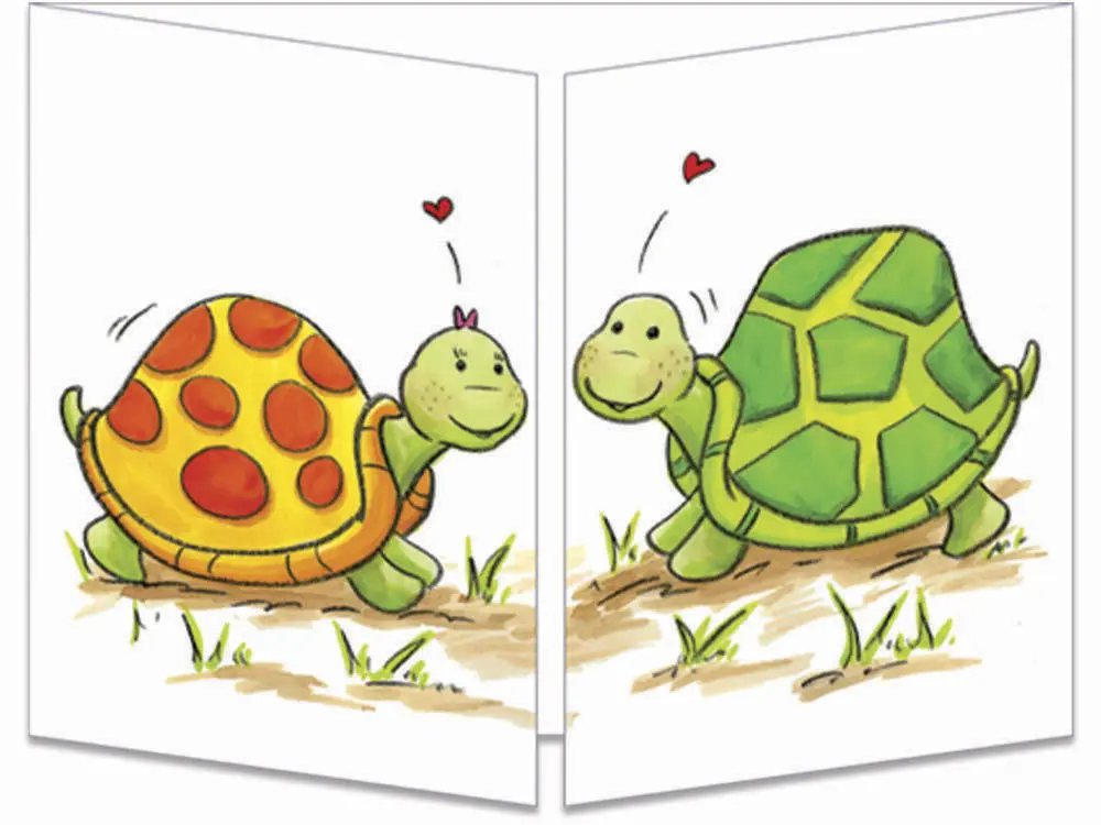 carte postale cache-cache ct266 partage de carapace fermée