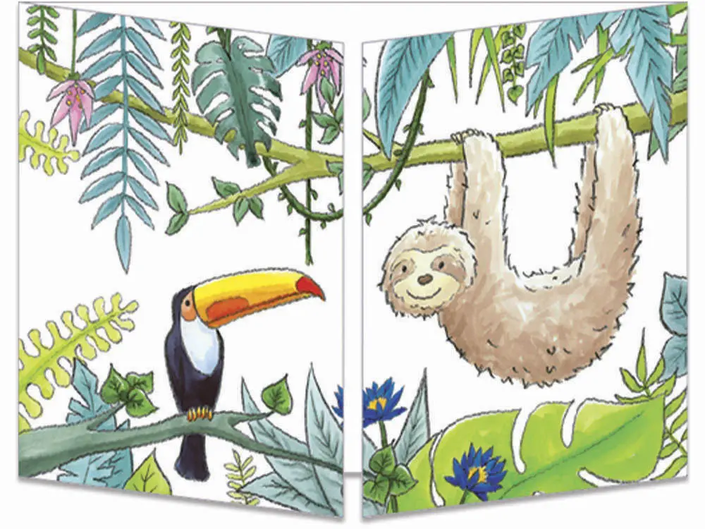 carte postale cache-cache ct319 le paresseux et le toucan fermée