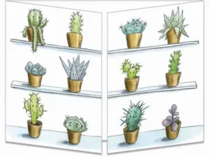 ct323 fiesta chez les cactus fermée