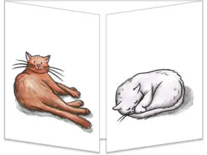 carte postale ct012 Les 2 faces des chats