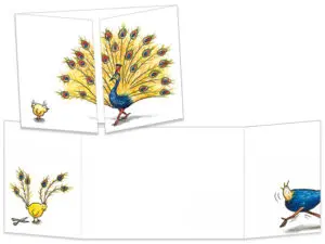 Carte postale cache-cache le poussin et le paon