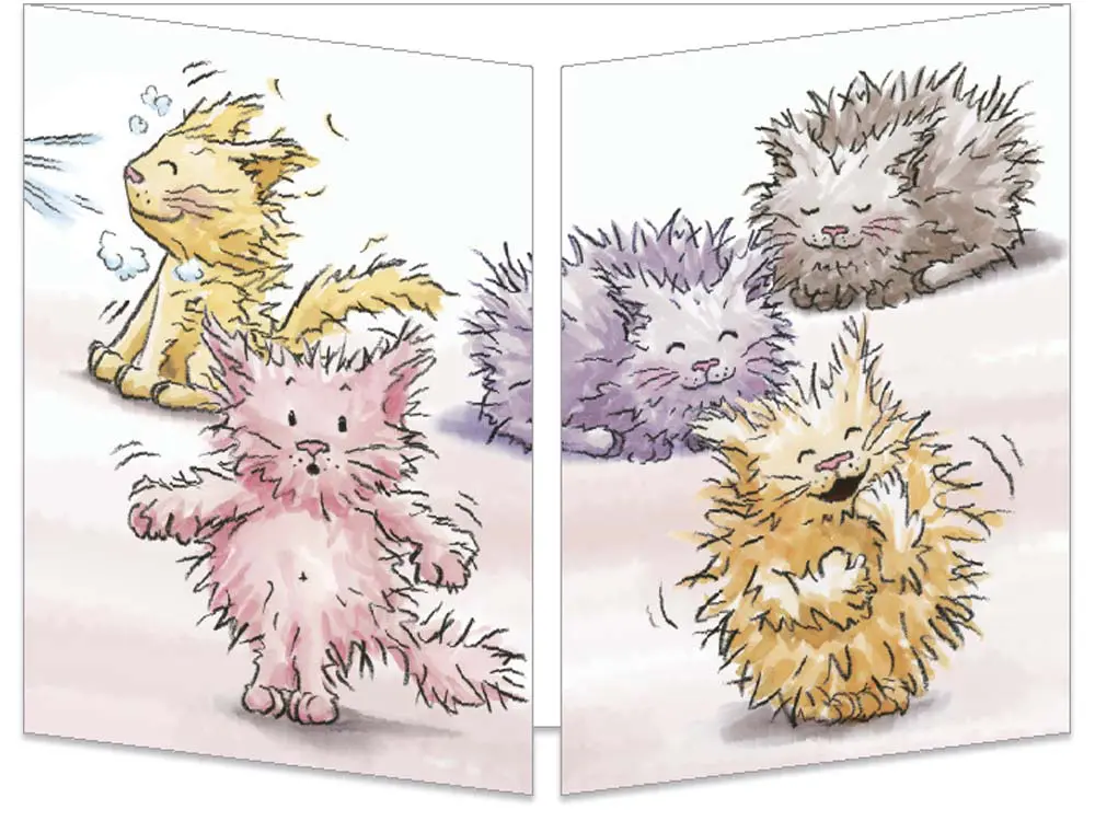 Carte postale cache-cache Les chatons ébouriffés