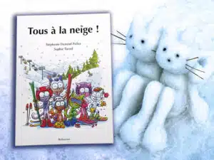 Petit roman 